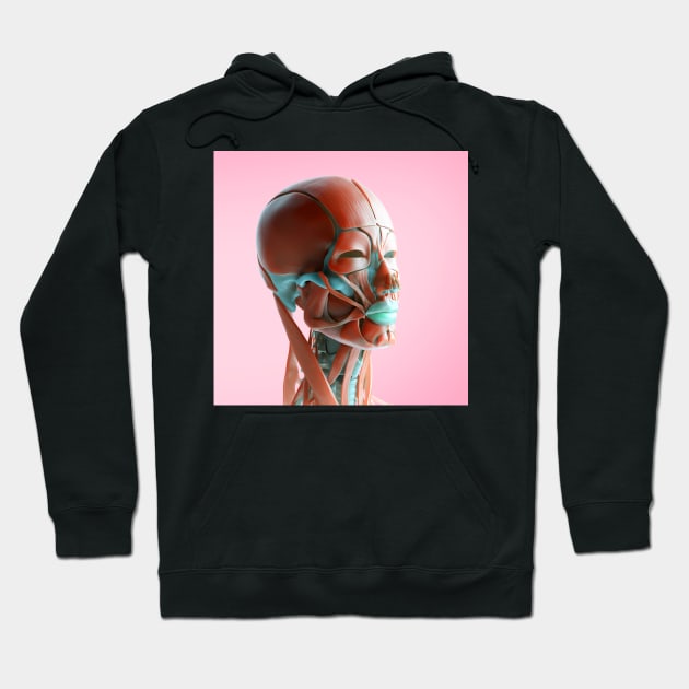 Facial muscles, illustration, (F035/6168) Hoodie by SciencePhoto